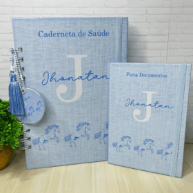 Combo Caderneta de Saúde + Porta Documentos (Vários Temas)